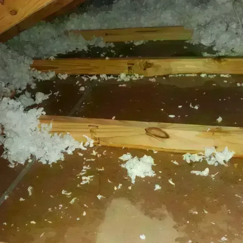 Attic Water Damage in Royal Palm Estates, FL